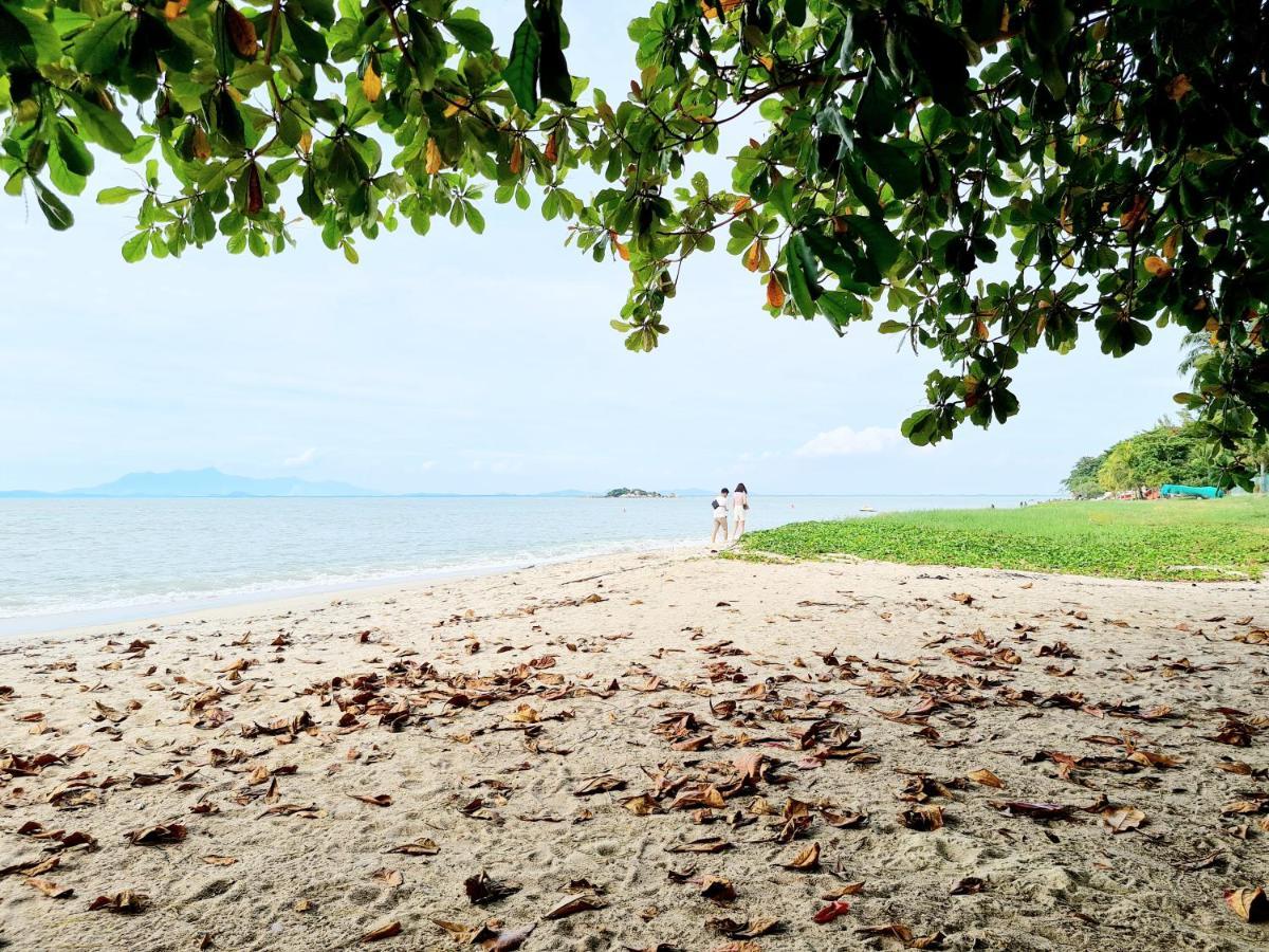 527 Beachhouse L 5 Bedroom With Swimming Pool - 3Min Walk To The Beach Tanjung Bungah  Bagian luar foto