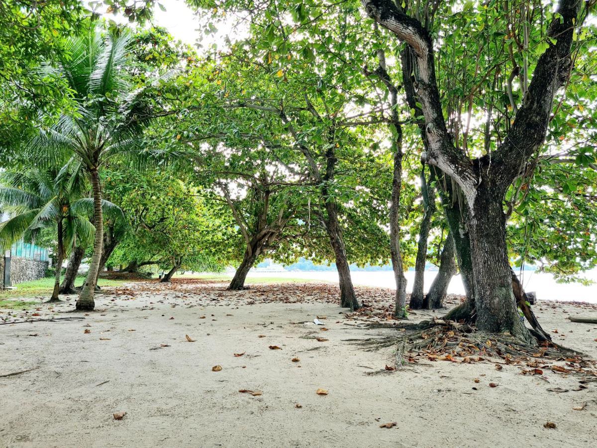 527 Beachhouse L 5 Bedroom With Swimming Pool - 3Min Walk To The Beach Tanjung Bungah  Bagian luar foto